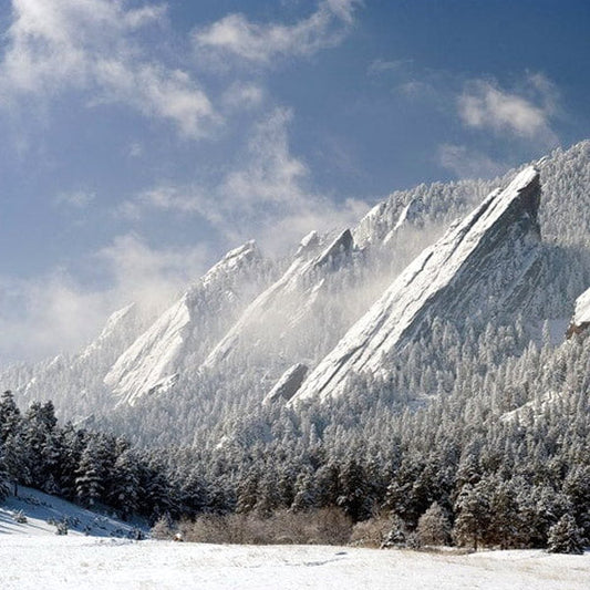 snow-ground-anchoring-stakes
