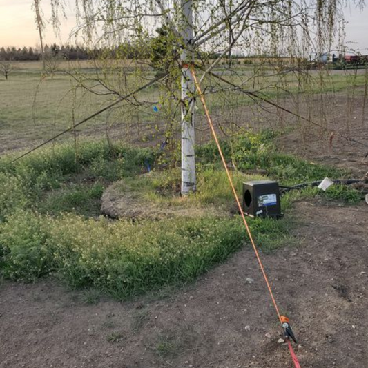 Anchoring Systems for Tall Trees, Palms & Urban Landscape Features
