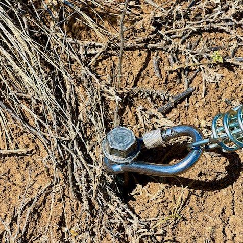 Stainless Steel Carabiner 2 Packs | 6cm or 8cm | 316 Stainless | Screw Up Safety Gate