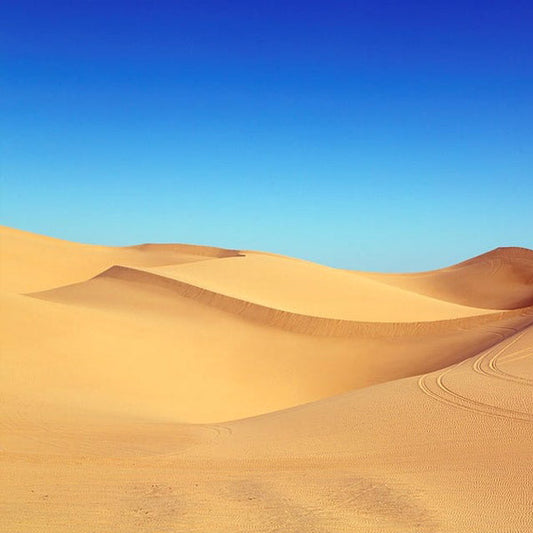 desert-ground-anchoring