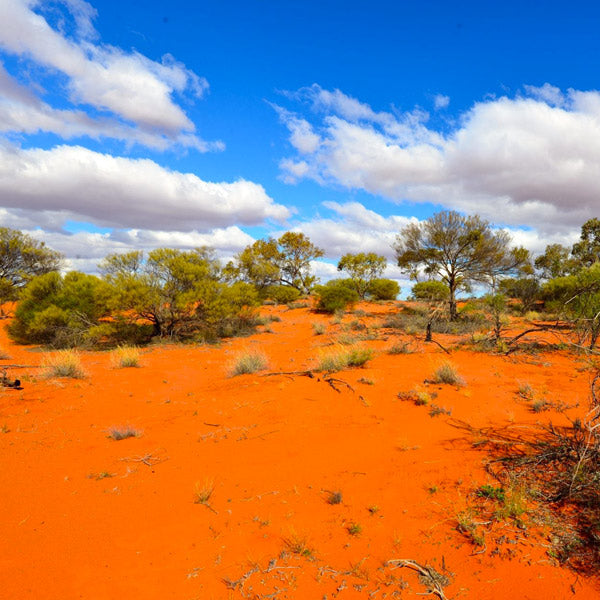 Outback Ground Anchors
