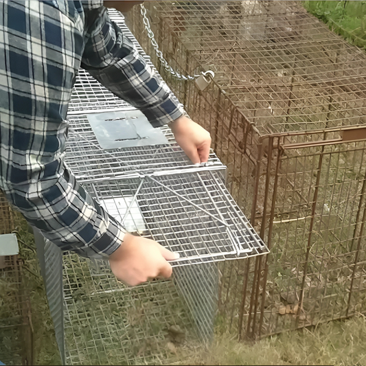 ground_anchor_for_securing_animal_traps