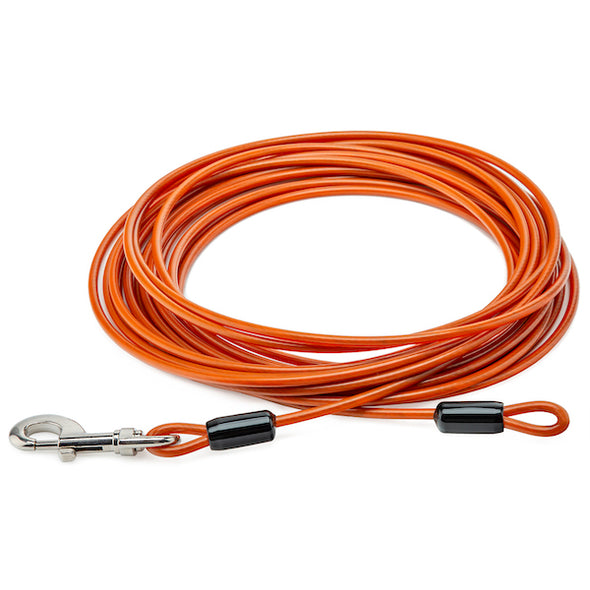 Orange Dog - Animal Cable