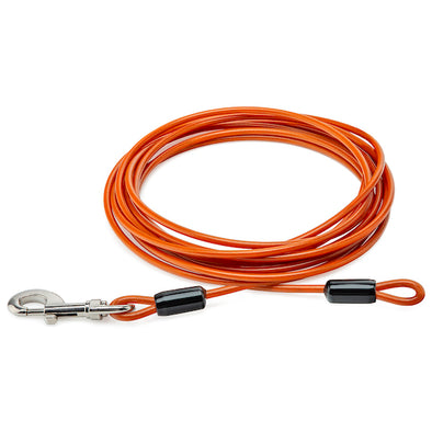 Orange Dog - Animal Cable